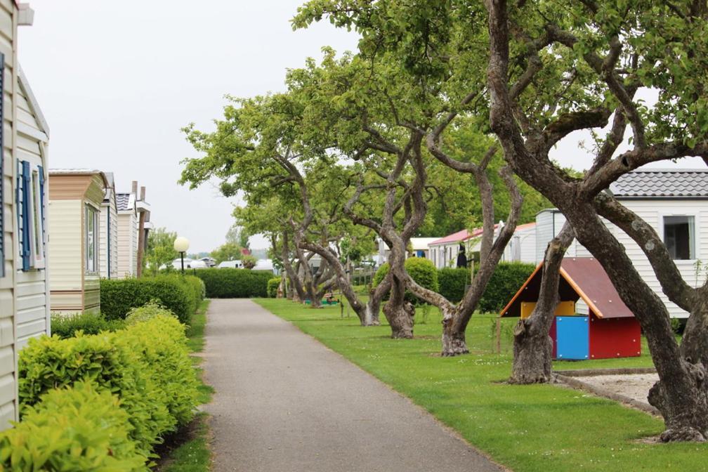 Official Siblu Camping in de Bongerd Oostkapelle Esterno foto
